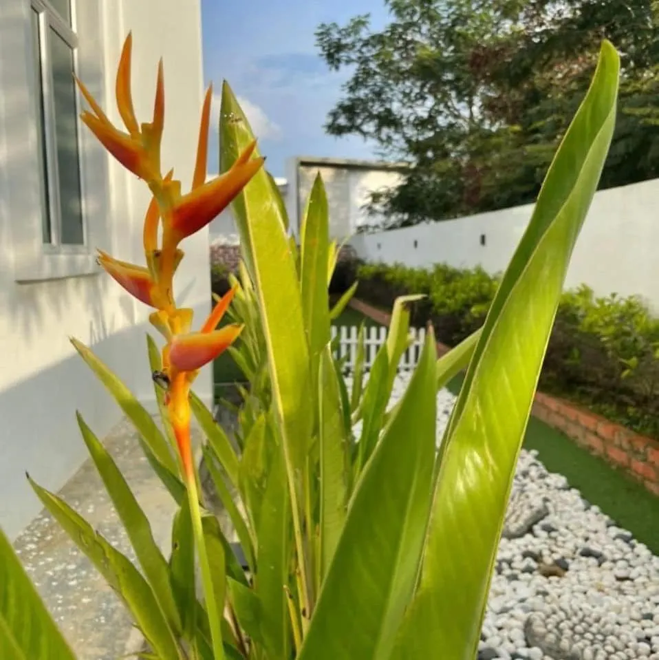 Anjung Kaseh Villa Bukit Katil 4Bedroom With Swimming Pool Malacca Ma­lay­sia